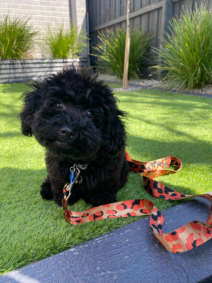 Orange Camo Leash