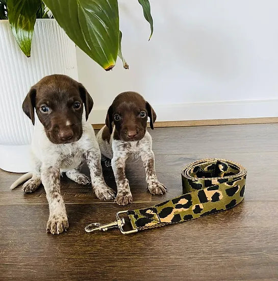 Khaki Camo Leash